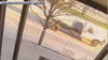 Austin hit-and-run caught on camera; Victim's attorney asking for help looking for driver