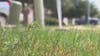 Texas House passes bill restricting HOA fines for brown lawns