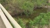 Body found near creek in East Austin identified