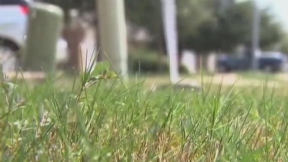 Texas House passes bill restricting HOA fines for brown lawns