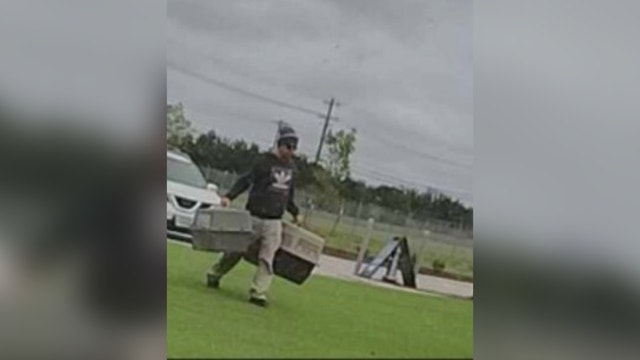 5 cats abandoned in Leander; police looking for person responsible