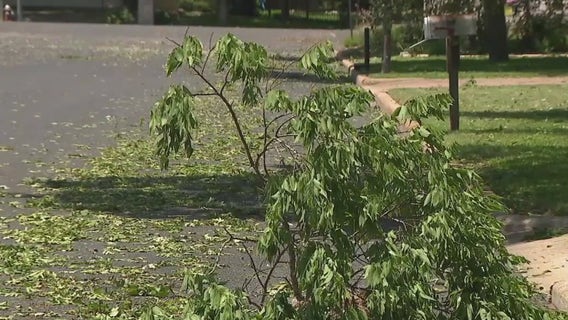 Memorial Day storms bring large hail to Gillespie County