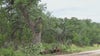 2 tornadoes confirmed in southwest Hays County as storms hit Central Texas