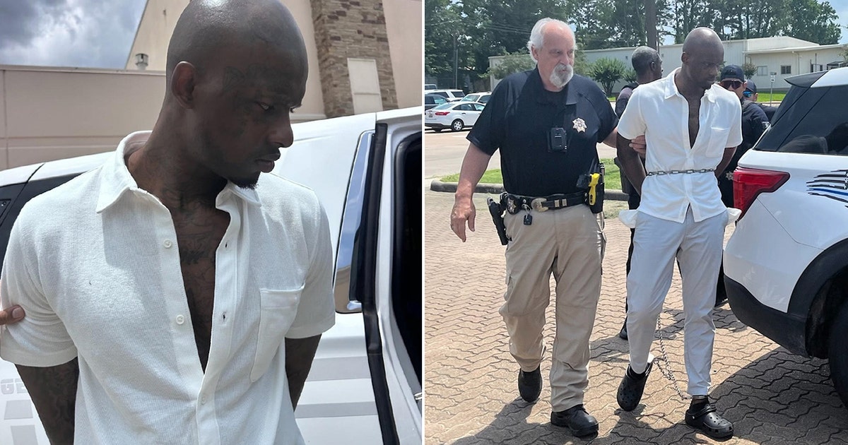 Sex offender who escaped Austin psych hospital arrested in Houston ...