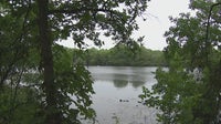 Body found in Lady Bird Lake: Authorities investigating
