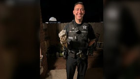 Stranded owl helped by Williamson County Sheriff's Office