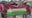 Juneteenth celebration in East Austin