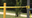 Victim shot while driving car in eastern Travis County