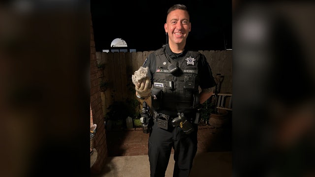 Stranded owl helped by Williamson County Sheriff's Office