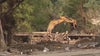 Texas flooding: More than 170 people still missing following deadly floods