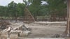 Texas flooding: Kerr County business owner shares firsthand account of floods
