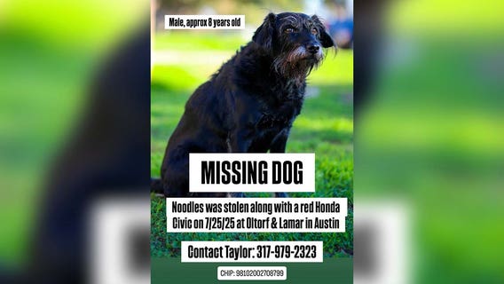 Food blogger's car stolen with his dog inside in South Austin