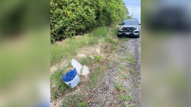 'Discarded animal remains' found by Caldwell County deputy; officials seeking tips