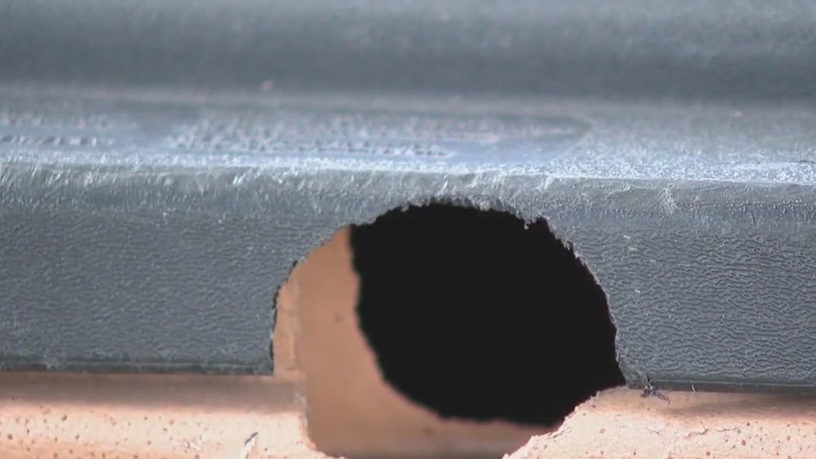 Construction pushing pests into Austin-area neighborhoods