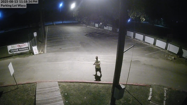 Break-in at Austin Pets Alive!: 1 dog dies, other dogs injured after being released