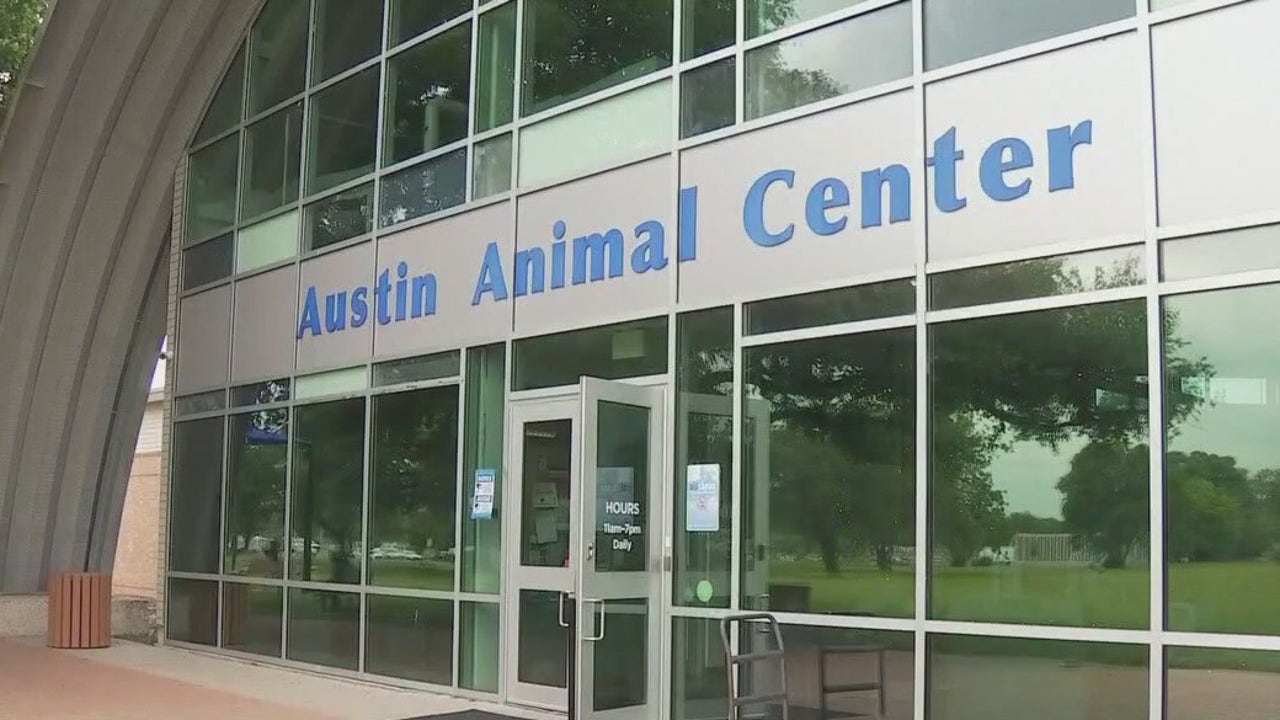 Austin Council Revises Animal Shelter Spay Notification Rules to Address Overcrowding