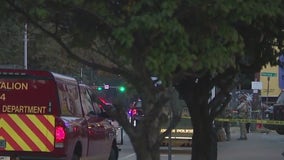 Austin police officer injured in Zilker Park shooting; suspect in custody