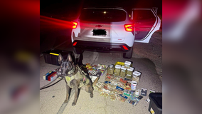 Several drugs, gun seized from car during Manor traffic stop