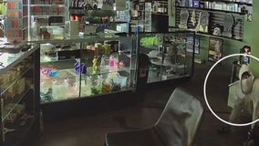 Northeast Austin businesses left with damage after bizarre string of break-ins