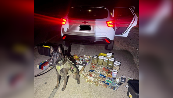 Several drugs, gun seized from car during Manor traffic stop