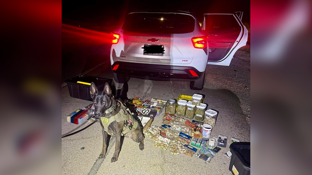 Several drugs, gun seized from car during Manor traffic stop