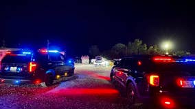 Stolen Hyundai Elantras from Austin recovered after pursuits in Manor; drivers arrested