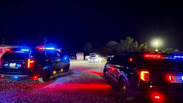 Stolen Hyundai Elantras from Austin recovered after pursuits in Manor; drivers arrested