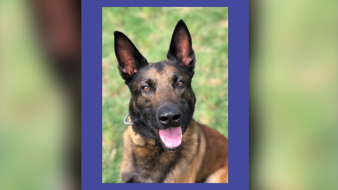 Austin Police Patrol K9 dies less than two weeks before scheduled retirement