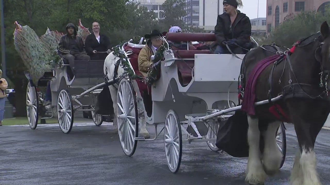Texas Capitol Christmas trees delivered by horse-drawn carriage
