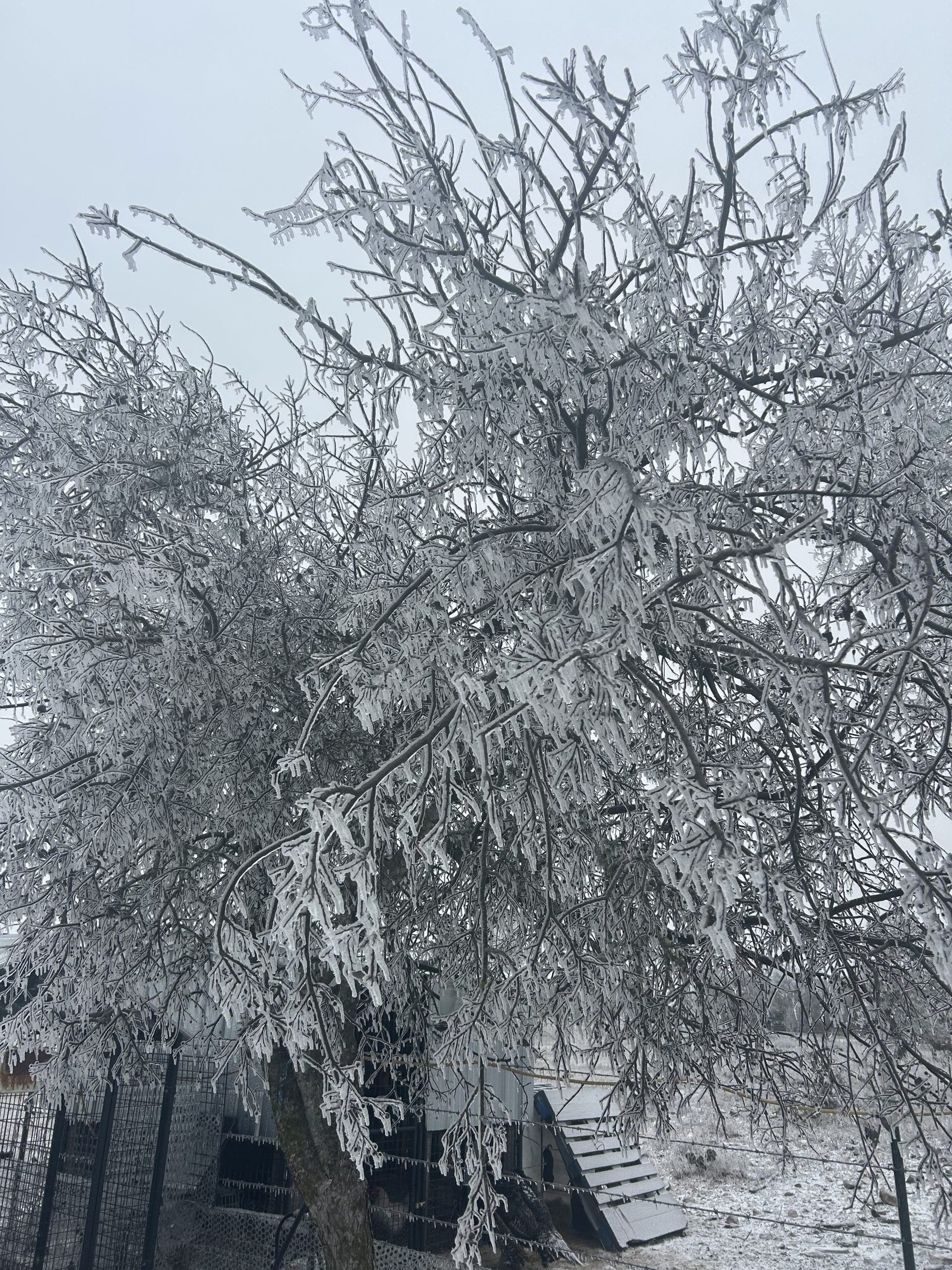 LIVE UPDATES | Austin weather: Latest on winter storm