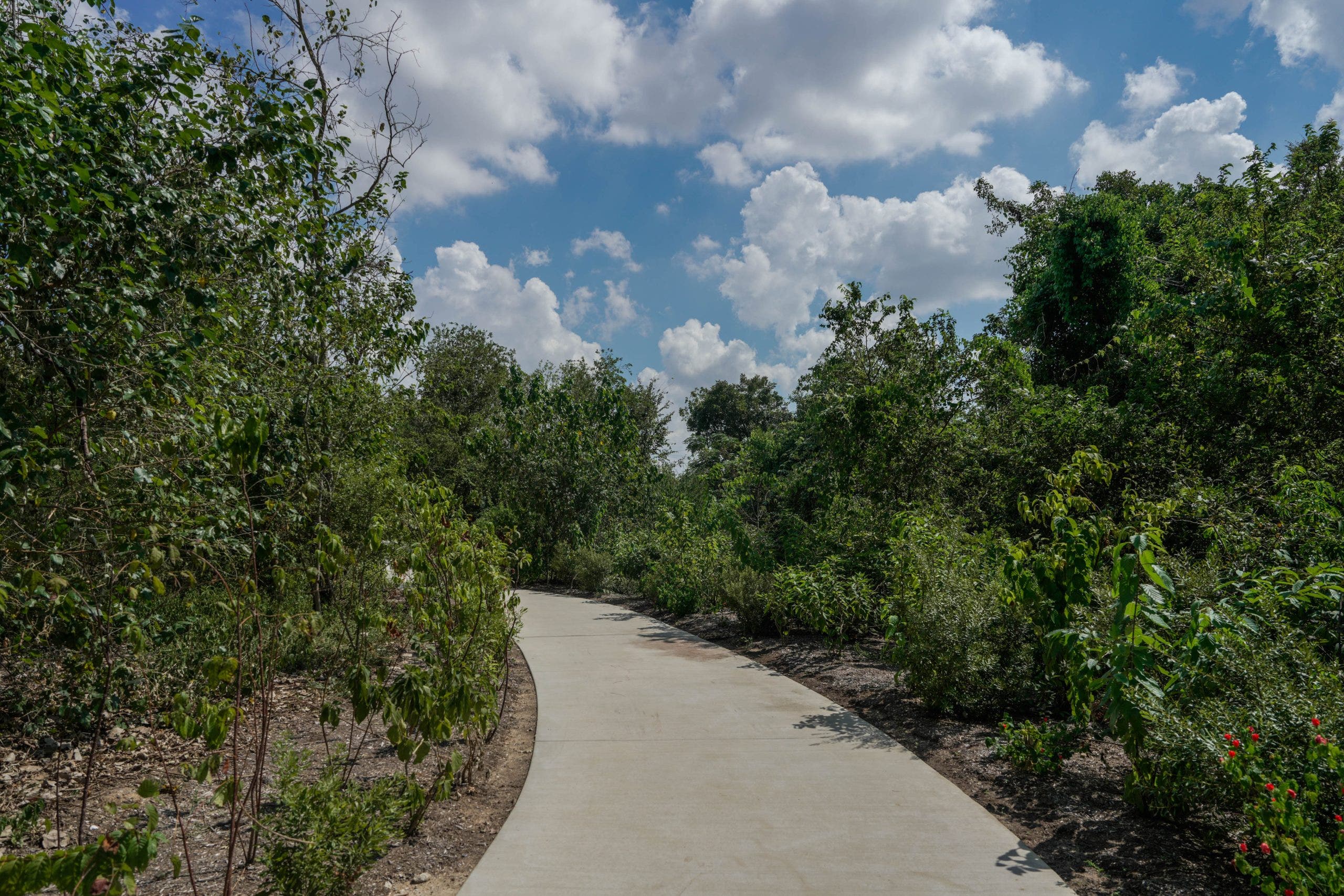50 community parks across Texas to be improved after record-setting grant disbursement