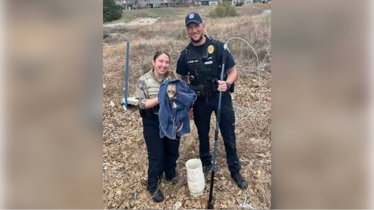 'The Great Pipe Predicament': Leander animal control rescues opossum