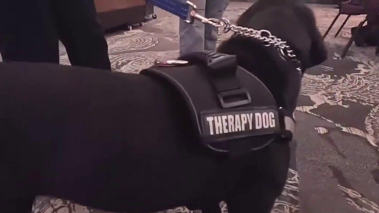 Texas State University PD swears in new therapy dogs