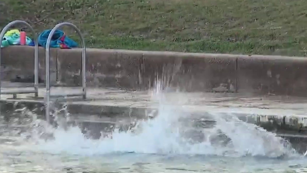Thousands take the Polar Bear Plunge at Barton Springs Pool