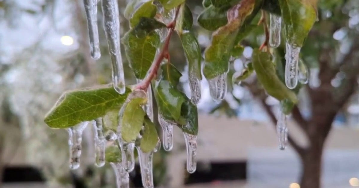 Over 850 people in need use Austin's cold weather shelters during winter storm