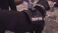 Texas State University PD swears in new therapy dogs