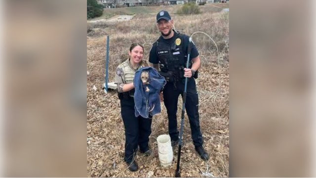 'The Great Pipe Predicament': Leander animal control rescues opossum