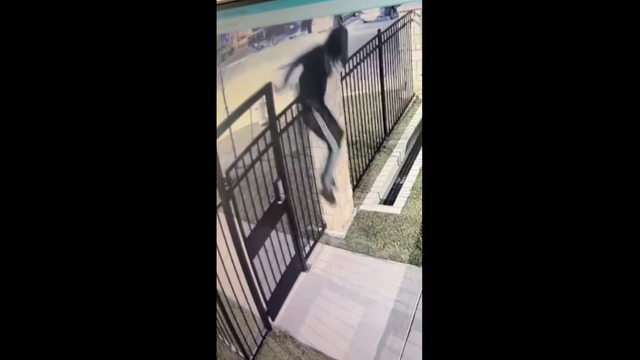 Caught on camera: Kyle police looking for potential car burglary suspect