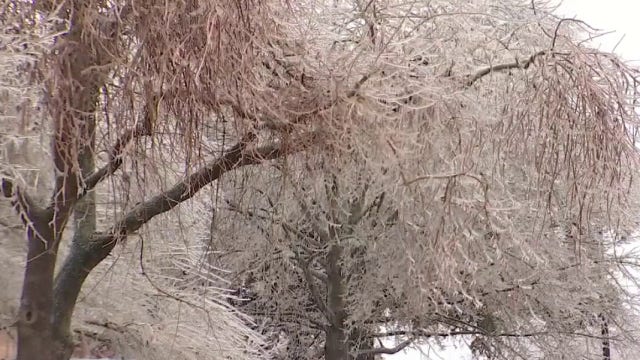 Texas winter weather: Austin Energy prepared for upcoming arctic blast