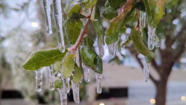 Over 850 people in need use Austin's cold weather shelters during winter storm