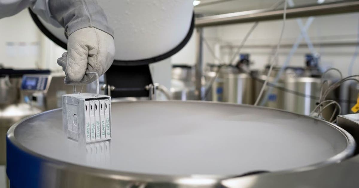 'Taking advantage of parents’ love': Paxton sues cord blood bank, alleges it misled new parents