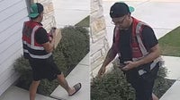 Man steals packages from multiple homes in broad daylight: APD