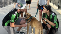 Austin FC, Austin Pets Alive! honorary mascot partnership extended for five more seasons