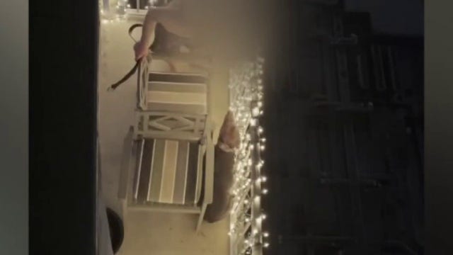 Dog beaten on Austin balcony to remain in city's custody; owner arrested