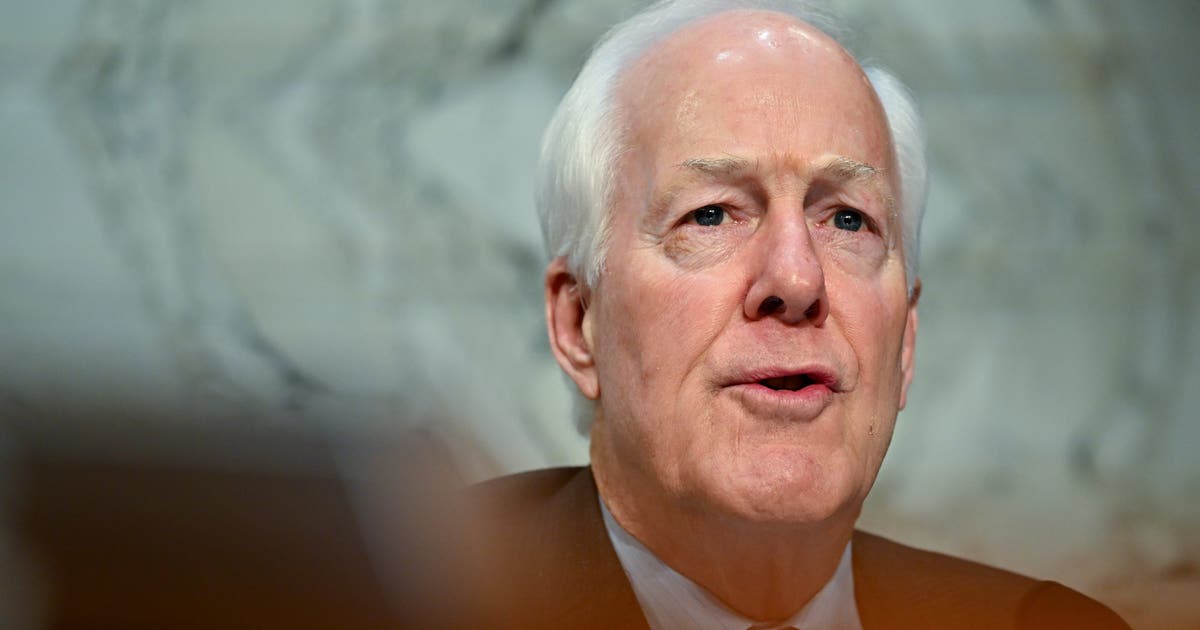 Image for U.S. Sen. John Cornyn introduces BOOT Sharia Law Act to bar 'anti-American' immigrants