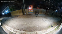 Arson investigators looking for person seen in surveillance video