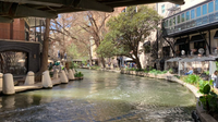 San Antonio River Walk dyed green for St. Patrick's Day