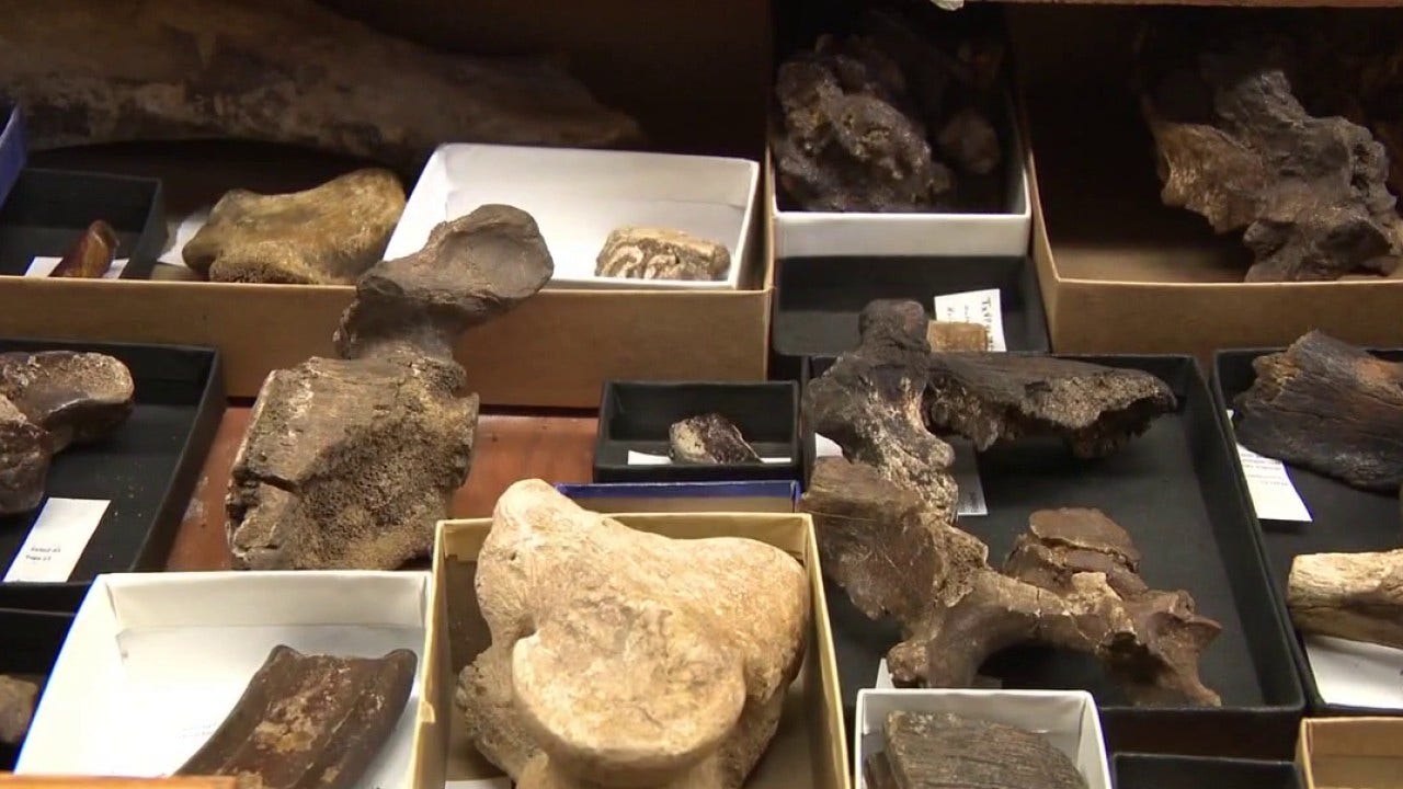 Ice Age fossils discovered in Central Texas cave