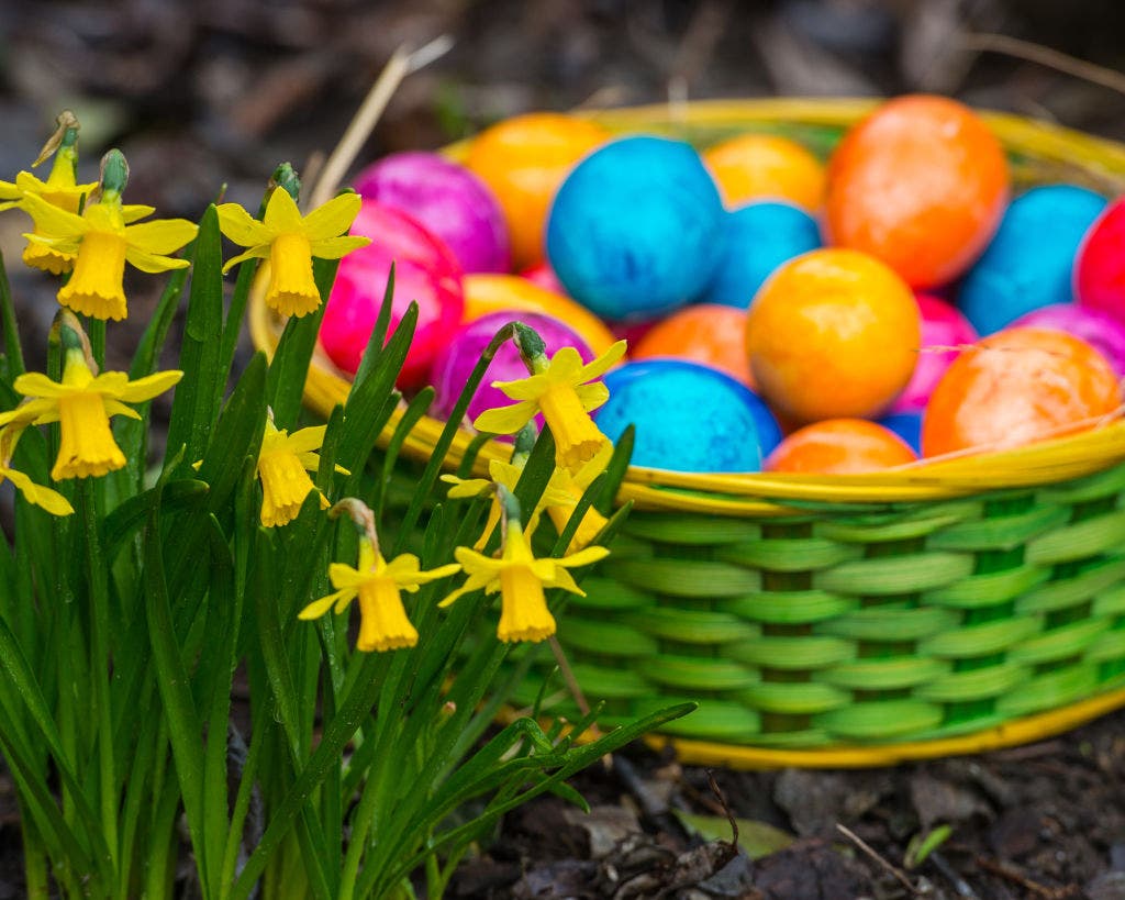 What Texans are really tucking into their Easter baskets this year