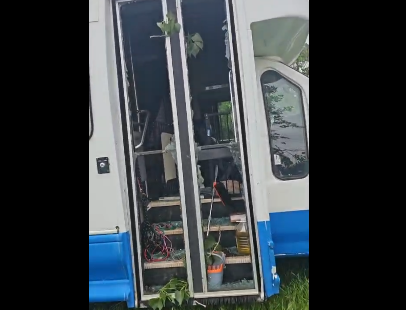 Wilco Animal Shelter takes in 11 dogs from storm-damaged North Texas rescue